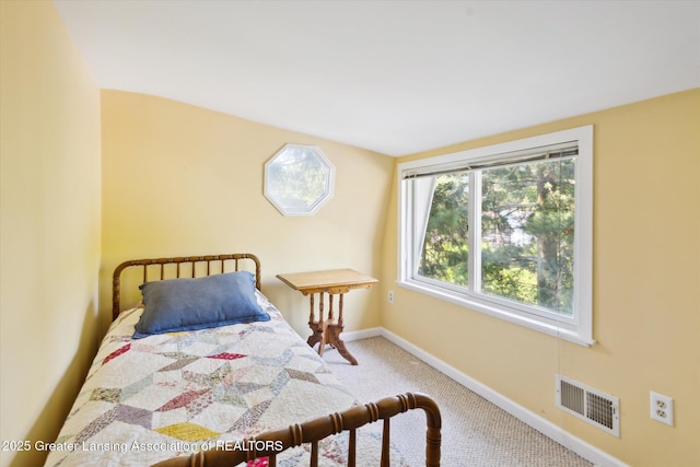 523 Bailey St, East Lansing, MI 48823 - photo 34