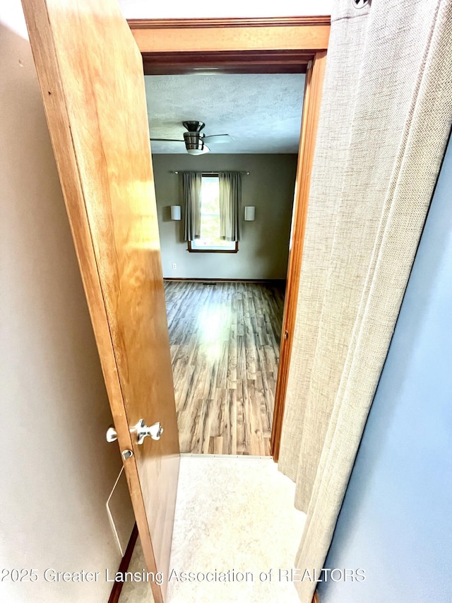 220 N Chester Rd, Charlotte, MI 48813 - photo 19