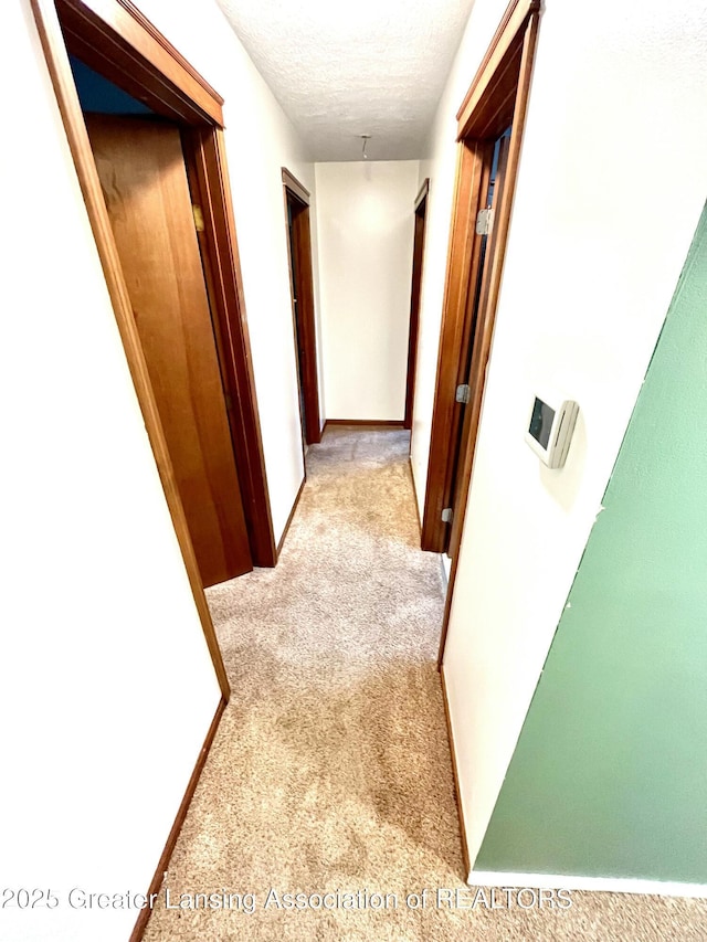220 N Chester Rd, Charlotte, MI 48813 - photo 14