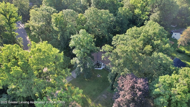 5620 Grand River Dr, Grand Ledge, MI 48837 - photo 47
