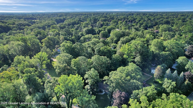 5620 Grand River Dr, Grand Ledge, MI 48837 - photo 48