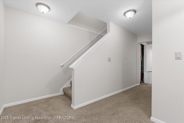 8505 Ember Glen Pass, Lansing, MI 48917 - photo 28
