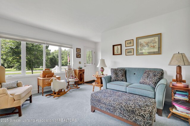 1904 W Columbia Rd, Mason, MI 48854 - photo 11