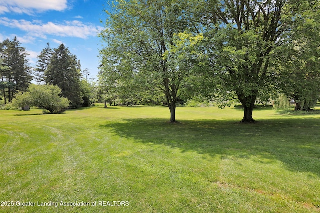 12600 Holly Ln, Dewitt, MI 48820 - photo 32