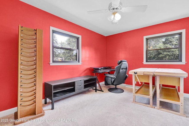 12600 Holly Ln, Dewitt, MI 48820 - photo 21