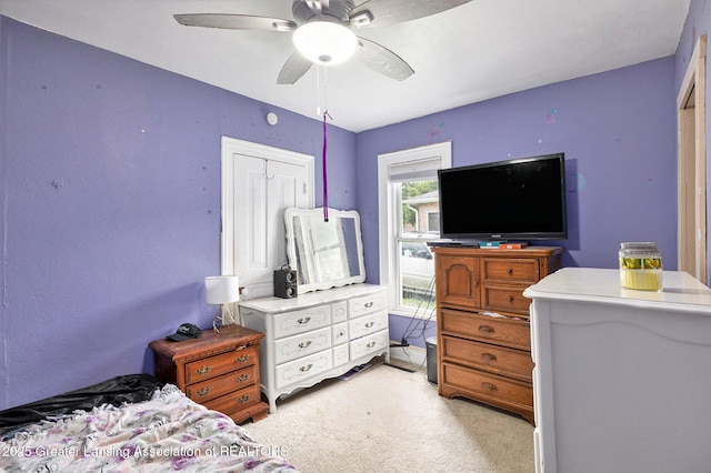 228 W Pearl St, Ovid, MI 48866 - photo 15