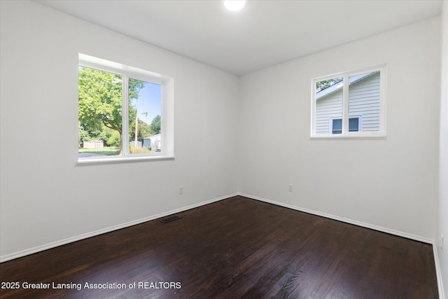 4217 Hillborn Ln, Lansing, MI 48911 - photo 21