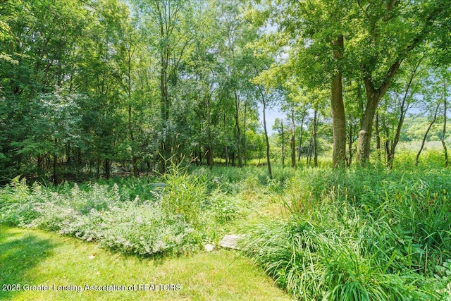 1790 Pine Creek Cir, Haslett, MI 48840 - photo 10