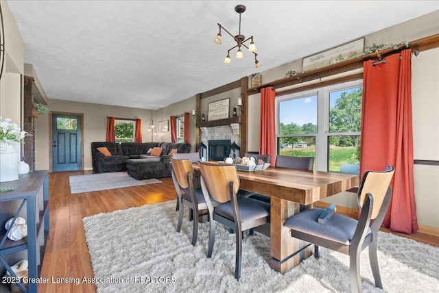 63 S Williamston Rd, Dansville, MI 48819 - photo 10