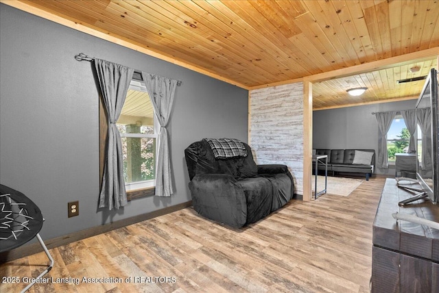 63 S Williamston Rd, Dansville, MI 48819 - photo 22