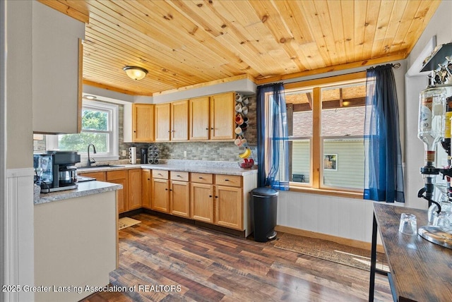 63 S Williamston Rd, Dansville, MI 48819 - photo 12