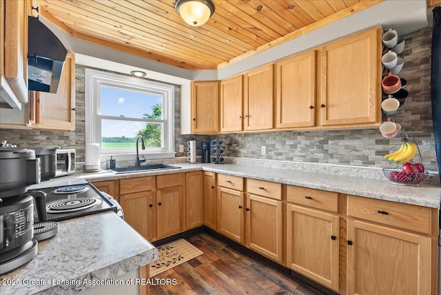 63 S Williamston Rd, Dansville, MI 48819 - photo 16