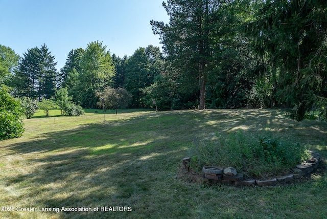 119 Branson Bay Dr, Mason, MI 48854 - photo 39