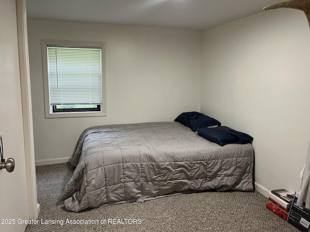362 E S St, Mason, MI 48854 - photo 12