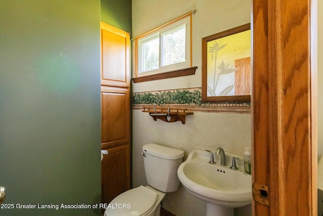 300 N Royston Rd, Charlotte, MI 48813 - photo 12