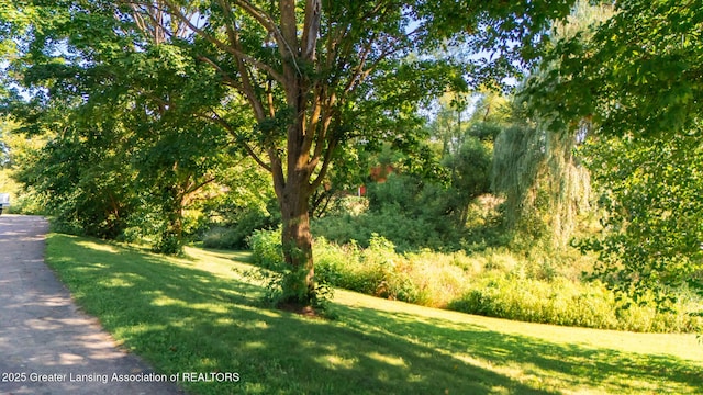 300 N Royston Rd, Charlotte, MI 48813 - photo 43
