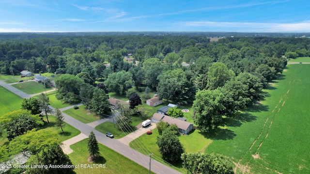 754 Ives Rd, Mason, MI 48854 - photo 38