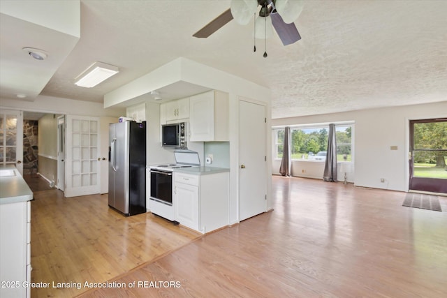 4079 Jenks Hwy, Charlotte, MI 48813 - photo 11