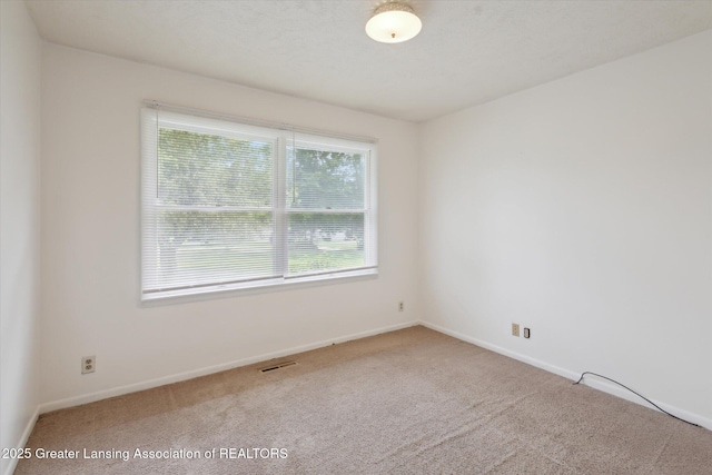 4079 Jenks Hwy, Charlotte, MI 48813 - photo 25