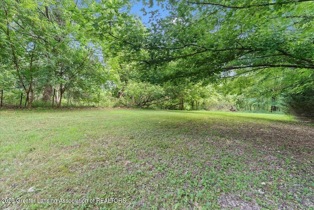 903 W S St, Owosso, MI 48867 - photo 20
