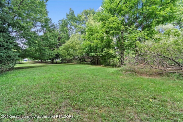903 W S St, Owosso, MI 48867 - photo 21