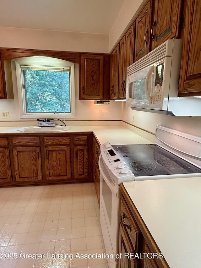 12664 Rambler Rd, Dewitt, MI 48820 - photo 11