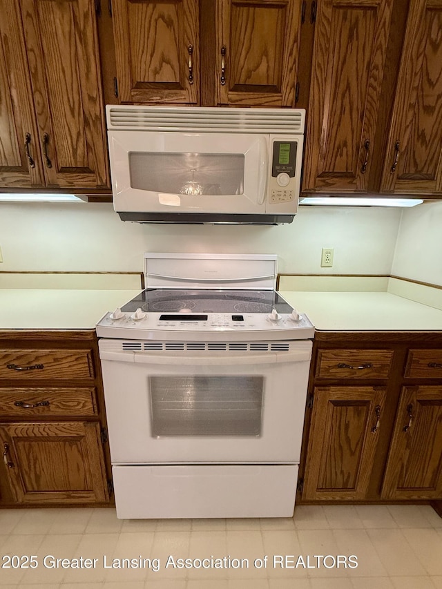 12664 Rambler Rd, Dewitt, MI 48820 - photo 12