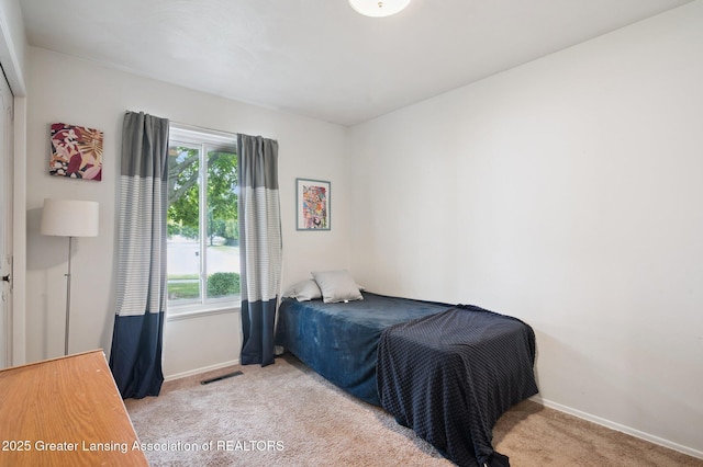 878 Ramblewood Dr, East Lansing, MI 48823 - photo 13