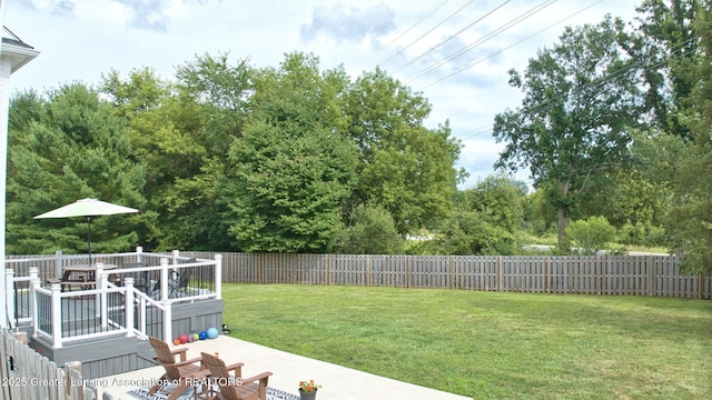 1541 Downing St, Haslett, MI 48840 - photo 52