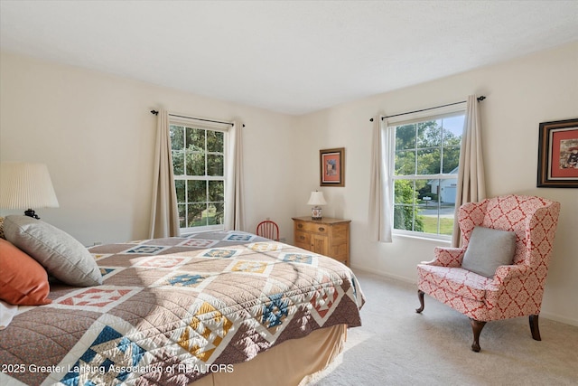 857 Lenna Keith Cir, East Lansing, MI 48823 - photo 27