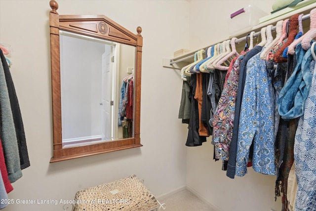 857 Lenna Keith Cir, East Lansing, MI 48823 - photo 24