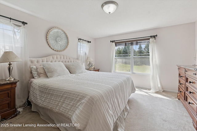 4265 Presidents Way Unit 14, Dewitt, MI 48820 - photo 21