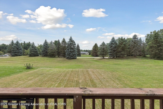4265 Presidents Way Unit 14, Dewitt, MI 48820 - photo 38