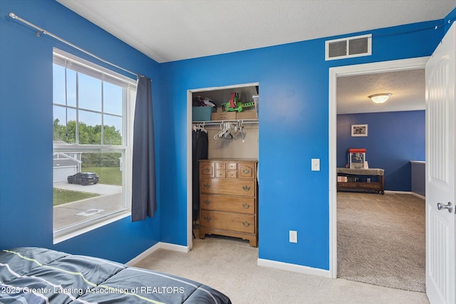 201 Primrose Ln, Mason, MI 48854 - photo 29