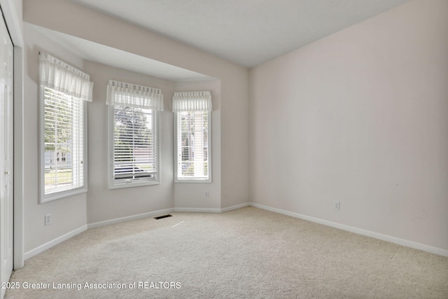 206 W Park St, Saint Johns, MI 48879 - photo 21
