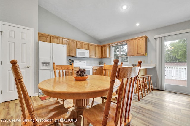 8961 Jacaranda Dr, Dimondale, MI 48821 - photo 13