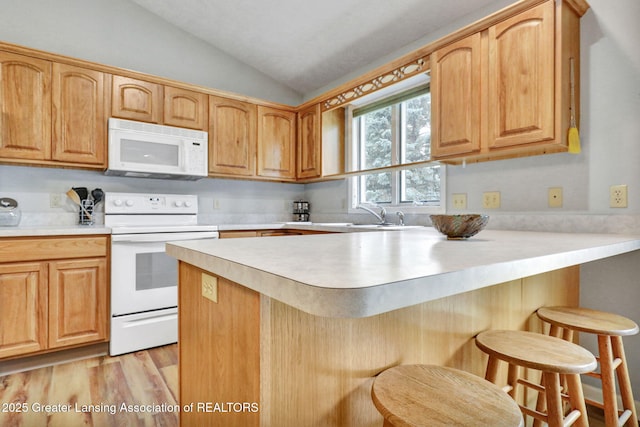 8961 Jacaranda Dr, Dimondale, MI 48821 - photo 10