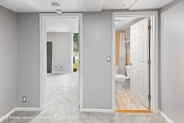 2213 Donora St, Lansing, MI 48910 - photo 10