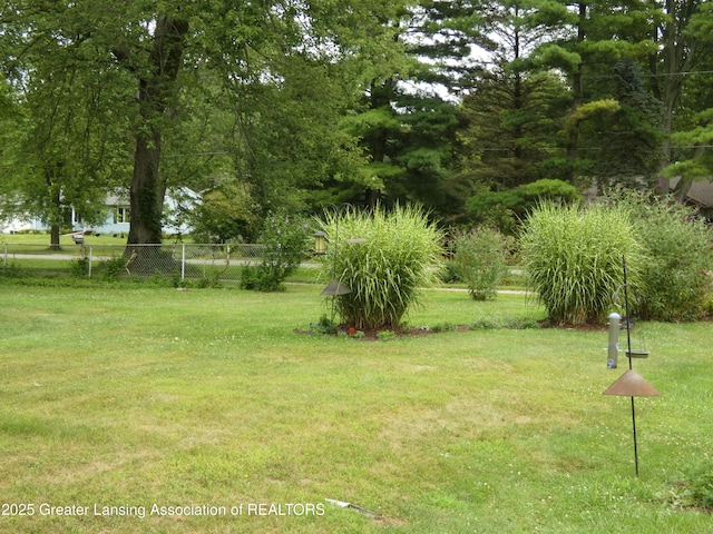 1262 Flamingo Ave, Haslett, MI 48840 - photo 24