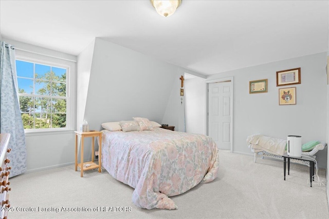 9290 Maple Rd, Lyons, MI 48851 - photo 20