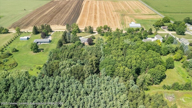 9290 Maple Rd, Lyons, MI 48851 - photo 60