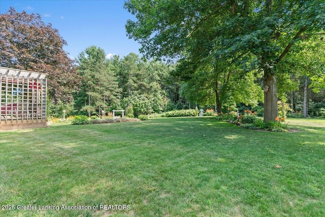 9290 Maple Rd, Lyons, MI 48851 - photo 46