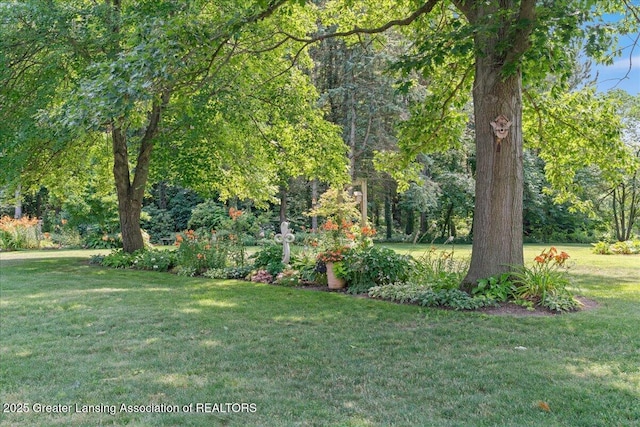9290 Maple Rd, Lyons, MI 48851 - photo 47