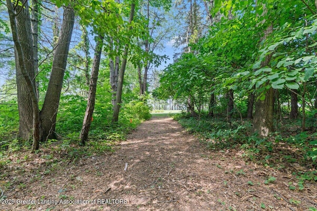 9290 Maple Rd, Lyons, MI 48851 - photo 48
