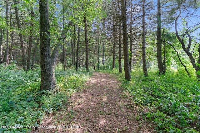 9290 Maple Rd, Lyons, MI 48851 - photo 49