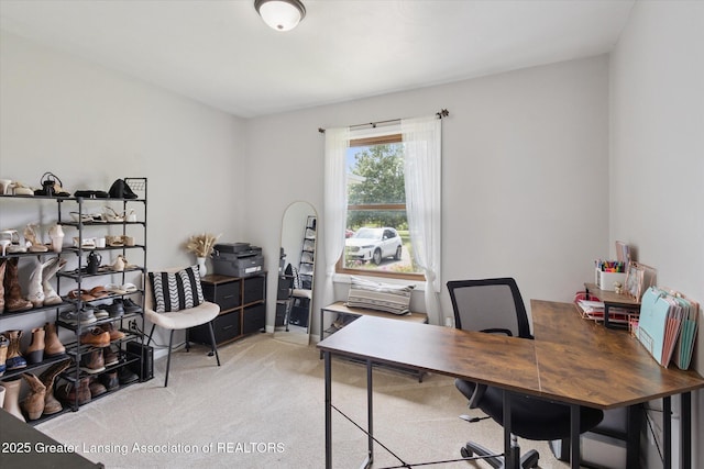 10619 Barnes Rd, Eaton Rapids, MI 48827 - photo 22
