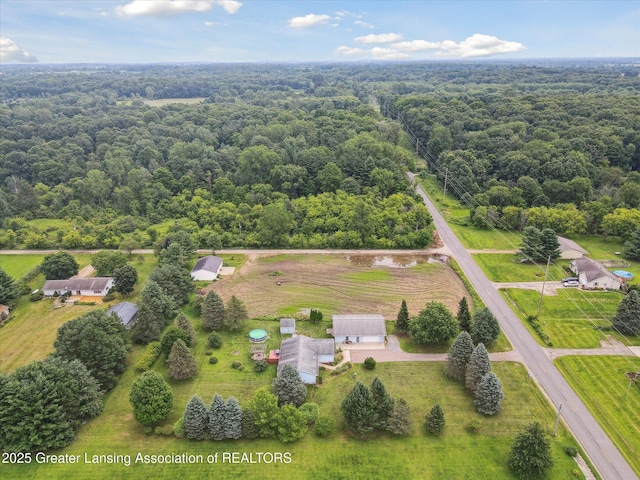 10619 Barnes Rd, Eaton Rapids, MI 48827 - photo 46