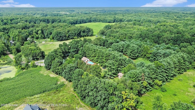 6494 Zimmer Rd, Haslett, MI 48840 - photo 39