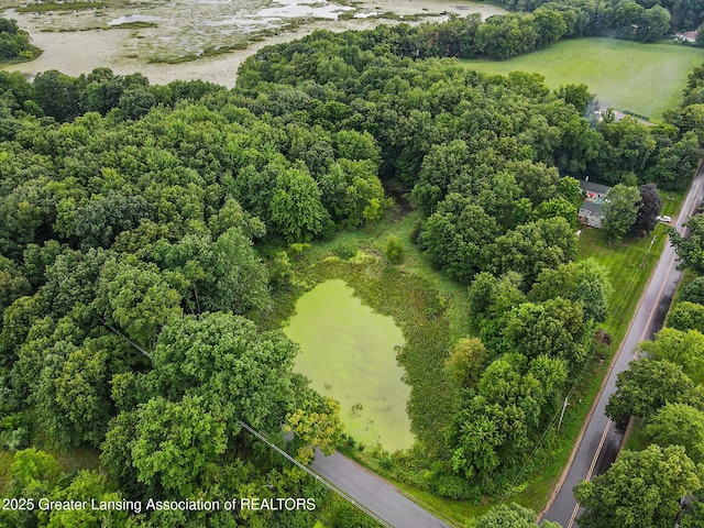 16067 27 1/2 Mile Rd, Albion, MI 49224 - photo 23