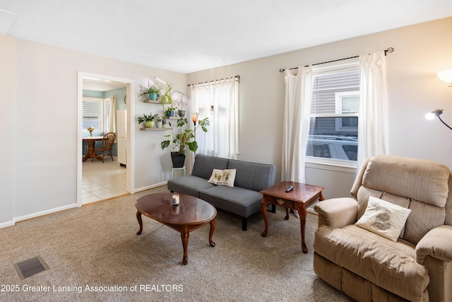 1209 W Rundle Ave, Lansing, MI 48910 - photo 4